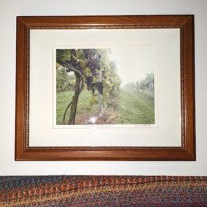 Time For Harvest Brian Keith Piper Framed Photo Grapes Vineyard Signed 16.5x13x1